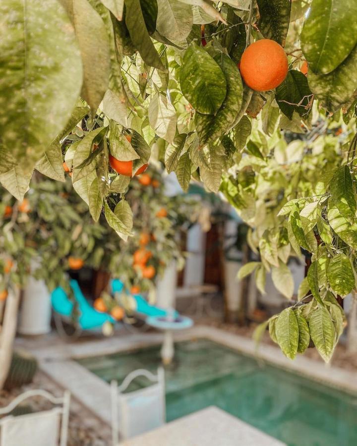 Riad Slitine & Spa Marraquexe Exterior foto